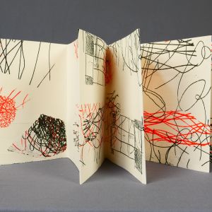 Dwalen, leporello, 26 cm x 256 cm, expo Roofprintpers Middelburg, 2024 2 kleuren etsen